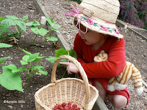 Young gardener touches bean plant